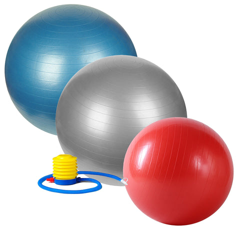 Image of Sunny Health & Fitness Anti-Burst Gym Ball w/ Pump – 55, 65 or 75cm - Treadmills and Fitness World