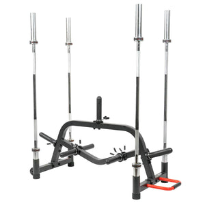 Sunny Health & Fitness Multi-Weight Plate and Barbell Rack Storage Stand SF-XF9938 - Treadmills and Fitness World