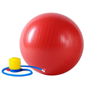 Sunny Health & Fitness Anti-Burst Gym Ball w/ Pump – 55, 65 or 75cm - Treadmills and Fitness World