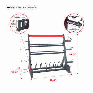 Sunny Health & Fitness All-In-One Weights Storage Rack Stand - SF-XF920025 - Treadmills and Fitness World